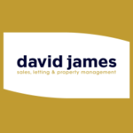 David James, Bromley logo