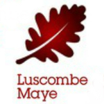 Luscombe Maye, Newton Ferrers logo