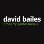 David Bailes, Stanley logo
