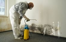 Rising Damp: How to Spot it and What to do About it